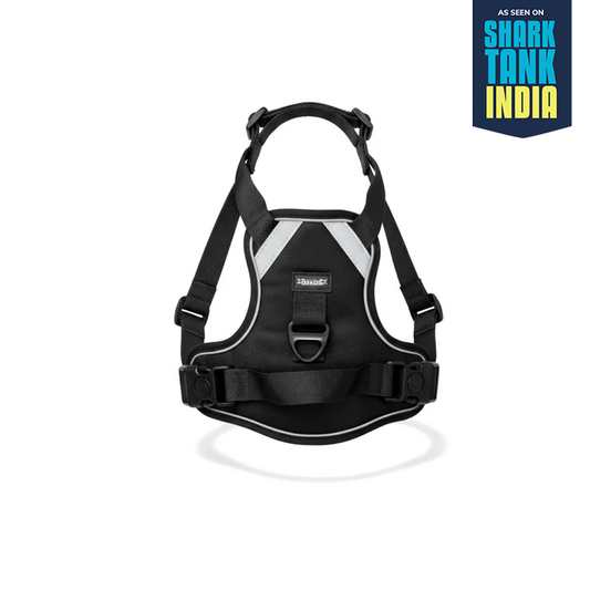 Nootie No-Pull Reflective Dog Harness | Anti-Choke Training Vest with Soft Padding and Easy-Control Handle