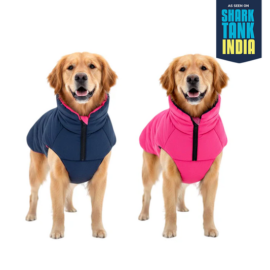 Nootie Reversible Dog Jacket | Blue & Pink | Warm, Lightweight Nylon and Windproof Jacket for Dogs