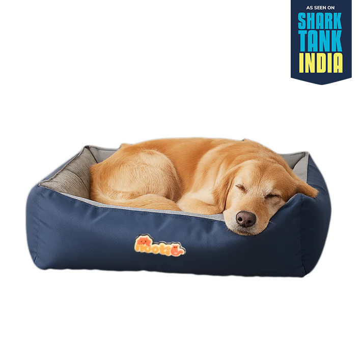 Nootie Sofa Basket Bed for Dogs & Cats – Small (22" x 17" x 6") | Velvet Interior, Mat Exterior, Washable & Scratch-Resistant