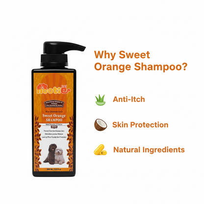 Nootie Skin Protection Sweet Orange Shampoo for Dogs (300 ml) | Anti-Itch, Moisturising Formula with Aloe Vera, Coconut & Vitamin E