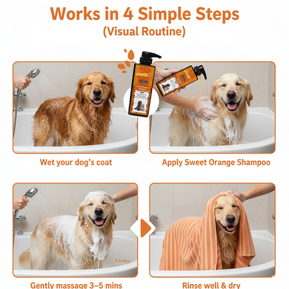 Nootie Skin Protection Sweet Orange Shampoo for Dogs (300 ml) | Anti-Itch, Moisturising Formula with Aloe Vera, Coconut & Vitamin E