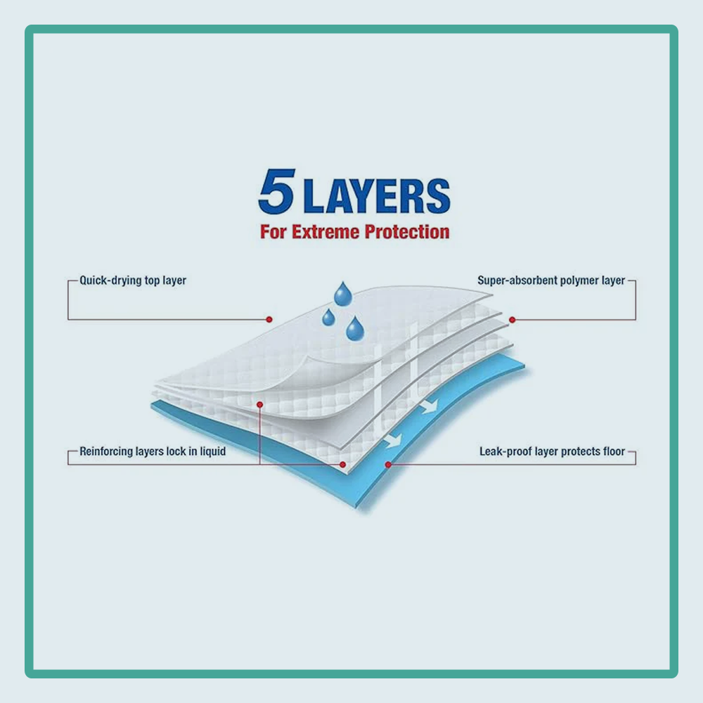 Nootie Puppy Training Pads  – Ultra-Absorbent, Leak-Proof & Odour-Control Potty Pads for Dogs