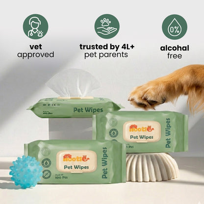 Nootie Wet Pet Wipes (100 Pulls) – Gentle Cleaning Wipes for Dogs & Cats | Alcohol-Free, Paraben-Free & Soap-Free