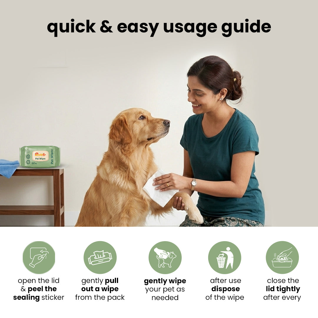 Nootie Wet Pet Wipes (100 Pulls) – Gentle Cleaning Wipes for Dogs & Cats | Alcohol-Free, Paraben-Free & Soap-Free