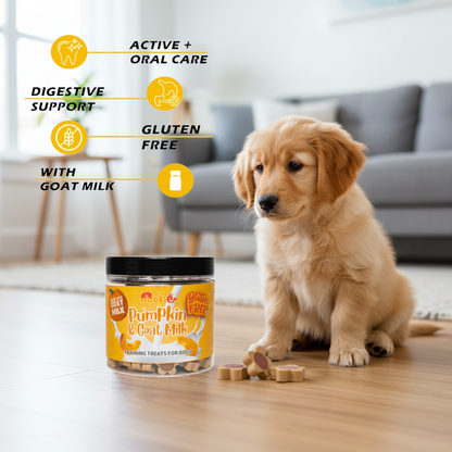 Nootie Gluten-Free Training Treats for Dogs – Pumpkin & Goat Milk Flavour (220g) | Dental Care, Digestion & Immune Support