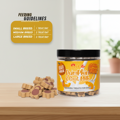 Nootie Gluten-Free Training Treats for Dogs – Pumpkin & Goat Milk Flavour (220g) | Dental Care, Digestion & Immune Support
