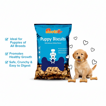 Nootie Chicken Biscuits with Peanut Butter Flavour for Puppies (900g) | High-Protein, Crunchy Growth Snack