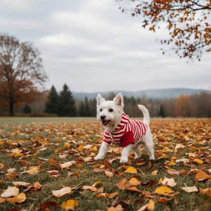 Nootie Winter Double Layer Jumpsuit with Hoodie for Dogs | Red-White | Warm, Soft & Lightweight