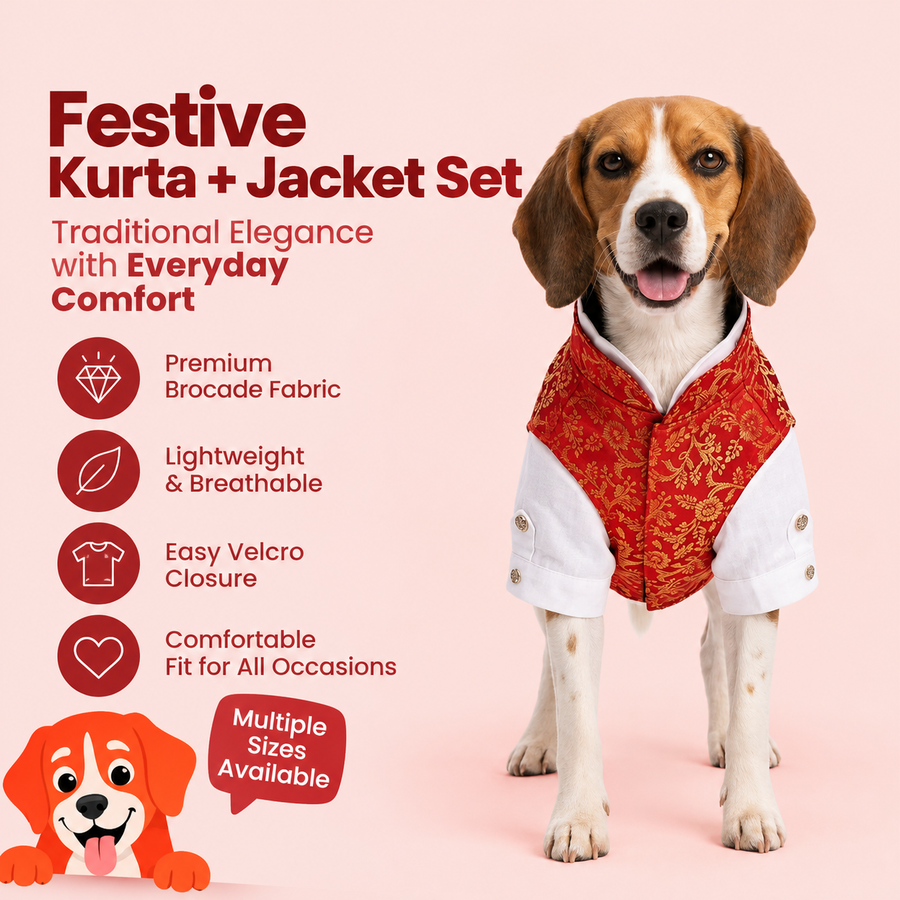 Nootie Dog Kurta Jacket Set - Red & Gold