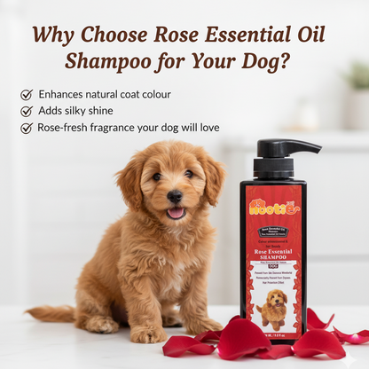 Nootie Colour Enhancement Rose Essential Oil Shampoo (300 ml) for Dogs | Hair Beauty, Shine & Skin Health
