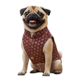 Nootie Festive Sherwani for Dogs –Purple | Stylish Outfit for Weddings & Festivals