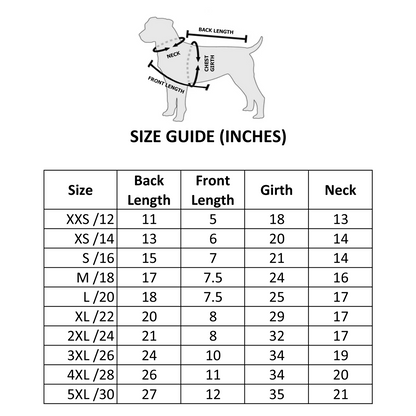 Nootie Festive Sherwani with Chunni for Pets – Yellow | Stylish Outfit for Weddings & Festivals