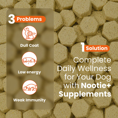 Nootie+ Health Chews for Dogs (30 chews) | Daily Wellness - Multi-vitamins for Immune Support, Better Vision & Healthy Skin