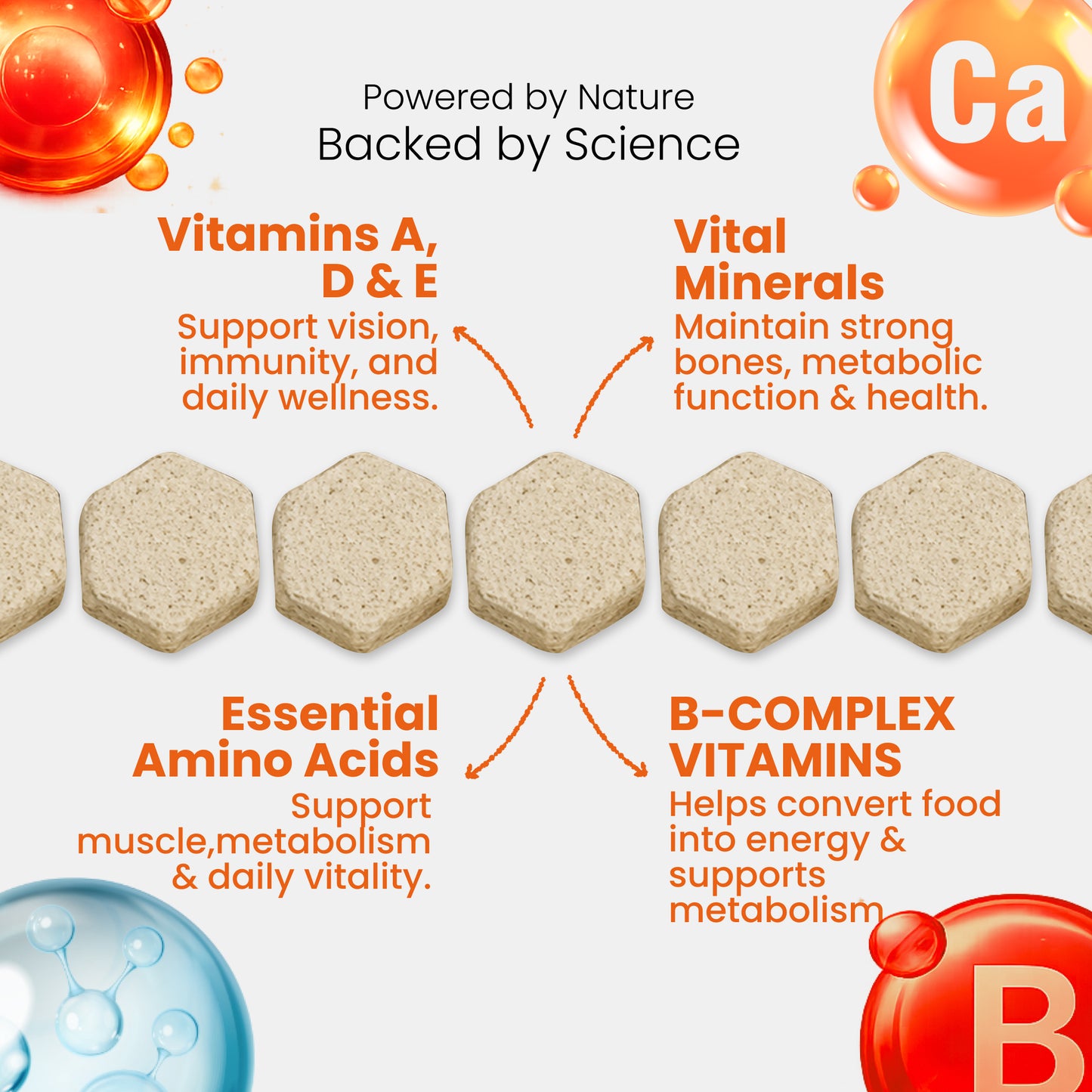 Nootie+ Health Chews for Dogs (30 chews) | Daily Wellness - Multi-vitamins for Immune Support, Better Vision & Healthy Skin