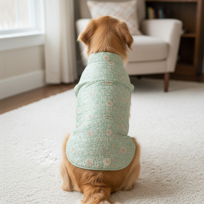 Nootie Festive Sherwani for Dogs – Light Green | Stylish Outfit for Weddings & Festivals