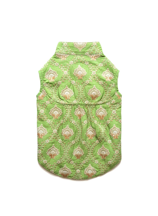 Nootie Festive Sherwani for Pets – Parrot Green