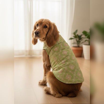 Nootie Festive Sherwani for Dogs – Parrot Green | Traditional Indian Ethnic Wear for Pets