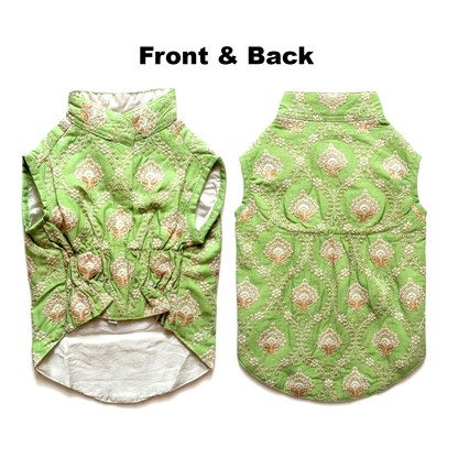 Nootie Festive Sherwani for Dogs – Parrot Green | Traditional Indian Ethnic Wear for Pets