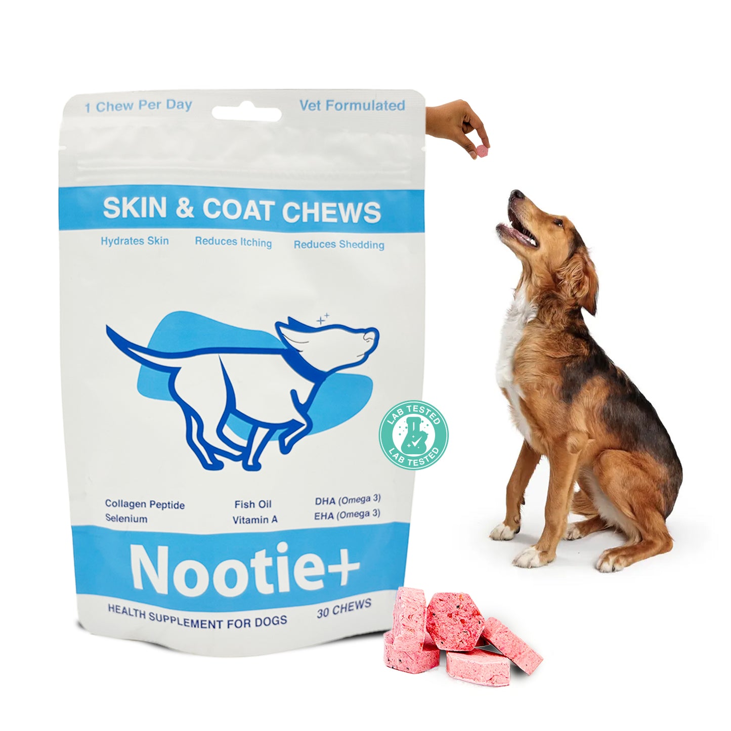 Nootie+ Skin & Coat Chews for Dogs | Hydrates Skin, Reduces Itching & Shedding (30 Chews)
