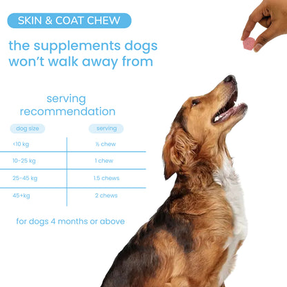 Nootie+ Skin & Coat Chews for Dogs | Hydrates Skin, Reduces Itching & Shedding (30 Chews)