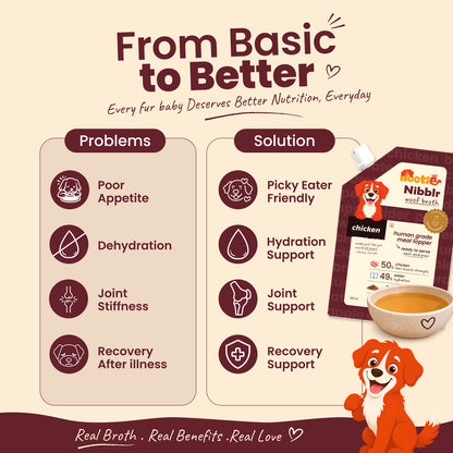 Nibblr Woof Broth - Hydrating Meal Topper for Dogs (100 ml) | Chicken Bone Broth