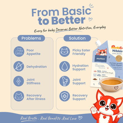 Nibblr Purr Broth - Hydrating Meal Topper for Cats (100 ml) | Mutton Bone Broth