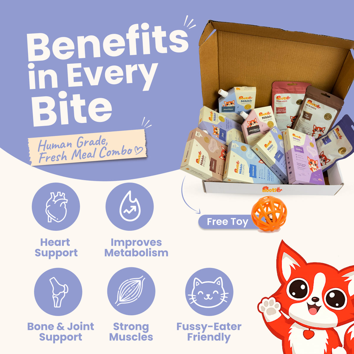 Nibblr Purr Gravy, Broth & Treat Combo for Cats | Human-Grade Hydration & Meal Topper Variety Pack (Assorted Pack of 10)