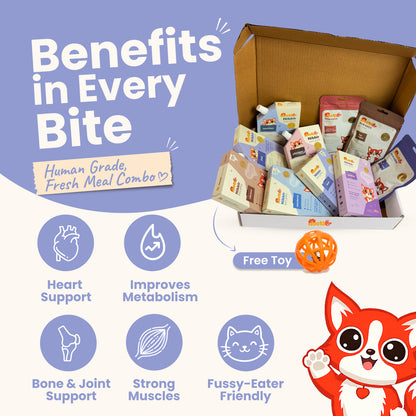 Nibblr Purr Gravy, Broth & Treat Combo for Cats | Human-Grade Hydration & Meal Topper Variety Pack (Assorted Pack of 10)