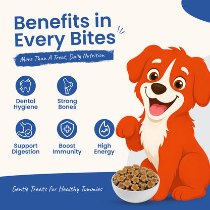 Nootie Rewards - Milk Biscuit Treats for Dogs