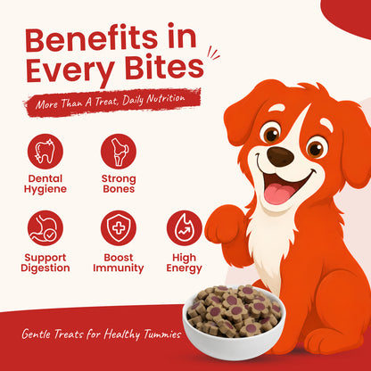 Nootie Rewards Woof Training Treats for Dogs – Carrot & Goat Milk, Gluten-Free, High Nutrition Dog Training Treats (220g)