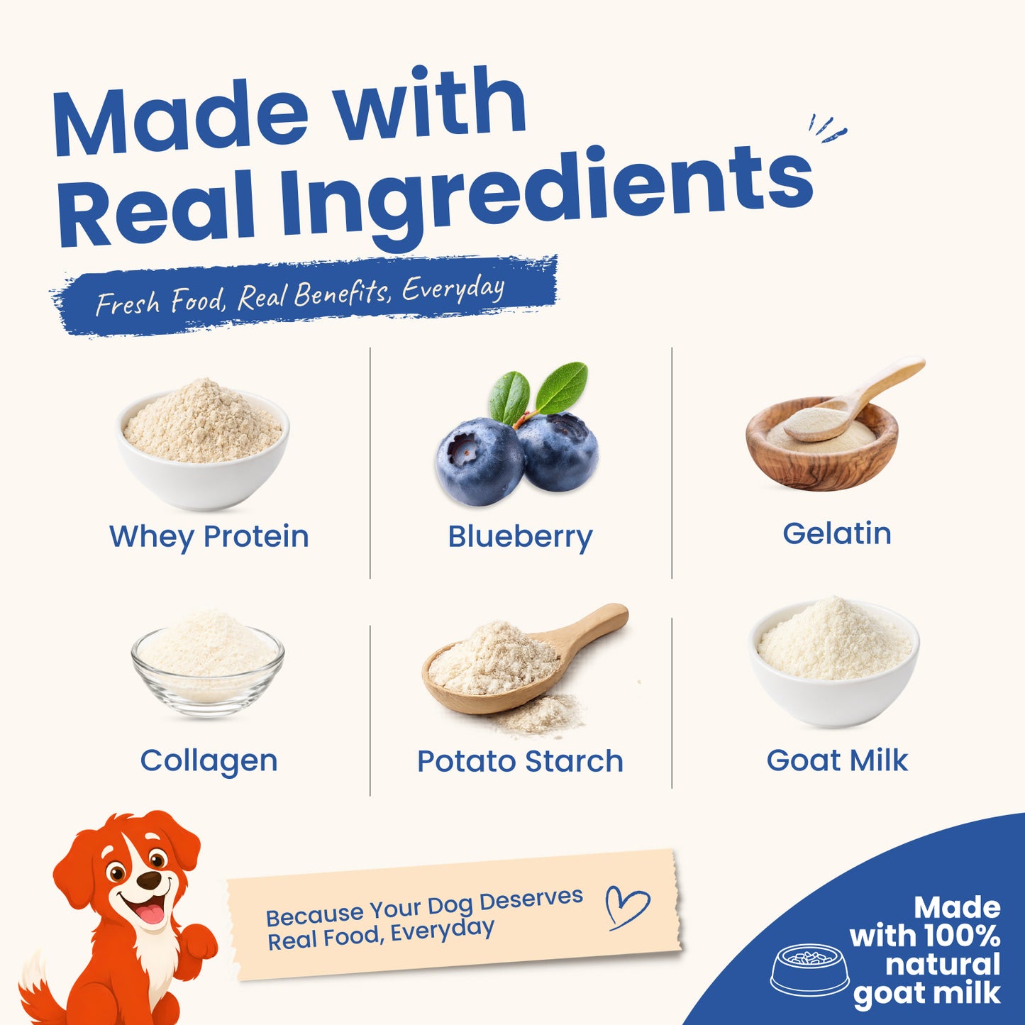 Nootie Rewards - Milk Biscuit Treats for Dogs