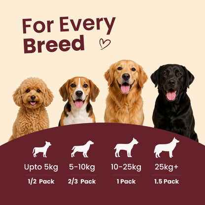 Nibblr Woof Broth - Hydrating Meal Topper for Dogs (100 ml) | Chicken Bone Broth