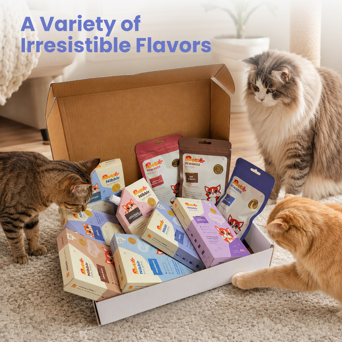 Nibblr Purr Gravy, Broth & Treat Combo for Cats | Human-Grade Hydration & Meal Topper Variety Pack (Assorted Pack of 10)