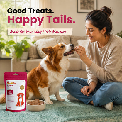 Nootie Rewards - Crunchy Treats for Dogs