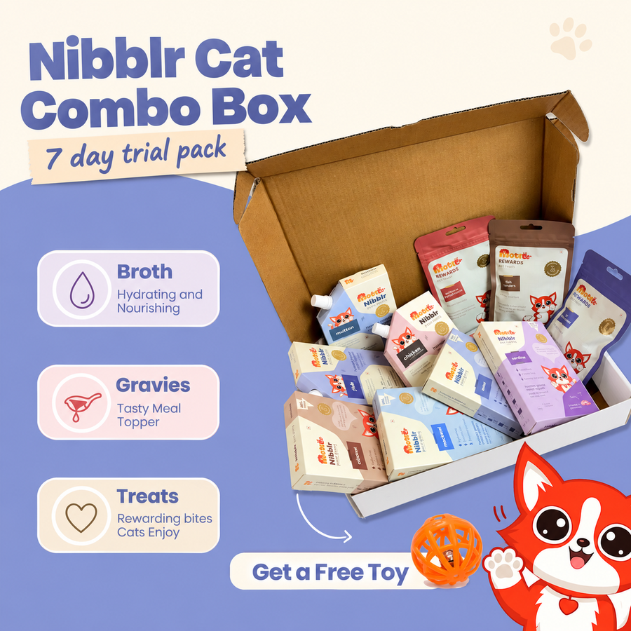 Nibblr Cat Combo Box - Gravy + Broth + Treats | 10 Packs | Assorted