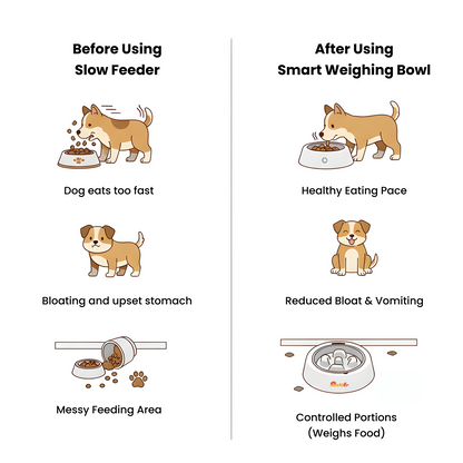 Nootie 2-in-1 Smart Weighing Bowl for Dogs & Cats | Digital Scale + Slow Feeder | Scientific Portion Control, Anti-Slip Base | Healthy Eating for Pets
