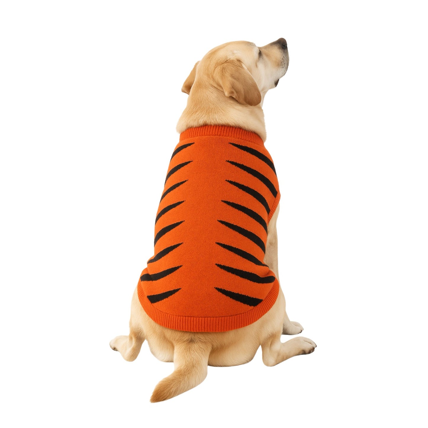 Nootie Dog Sweater Tiger Print, Orange – Stylish Winter Knitwear for All Breeds