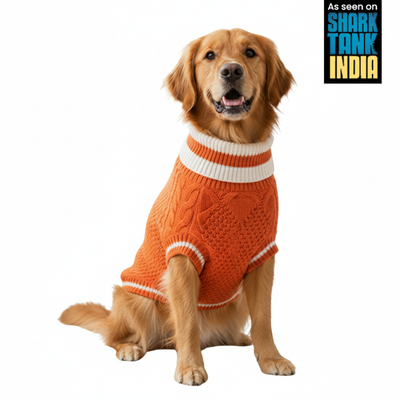 Nootie Dog High Neck Sweater, Orange – Stylish Winter Knitwear for All Breeds