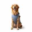 Nootie Dog Sweatshirt with Bow | Double-Layer, Warm, Soft Fleece Fur | Blue