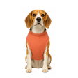 Nootie Dog Sweatshirt with Bow | Double-Layer, Warm, Soft Fleece Fur | Orange