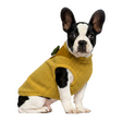 Nootie Dog Sweatshirt with Bow | Double-Layer, Warm, Soft Fleece Fur | Yellow