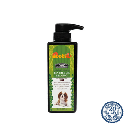Nootie Tea Tree Oil Shampoo for Dogs (300 ml) | Deep Cleansing, Oil Control & Skin Purifying Formula