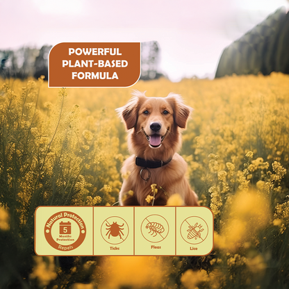 Nootie All Natural Tick & Flea Collar for Dogs & Cats | 5 Months Protection | Waterproof, Adjustable & Chemical-Free Pest Defence