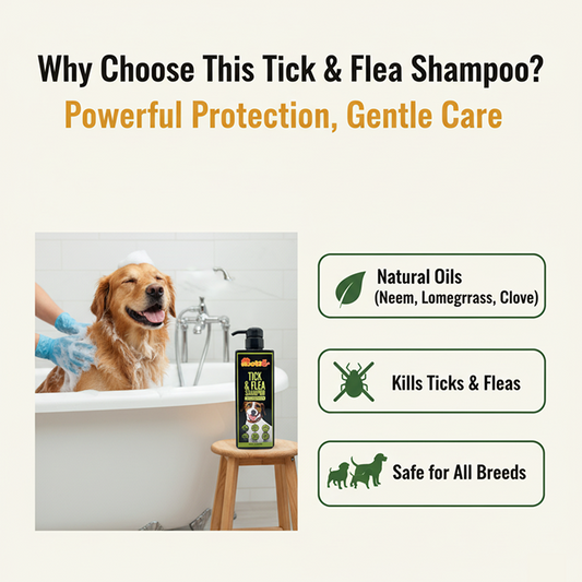 Nootie Tick & Flea Shampoo for Dogs (500 ml) | Natural Neem, Lemongrass & Clove Formula – Antibacterial & Sulphate-Free
