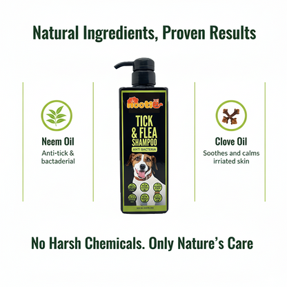 Nootie Tick & Flea Shampoo for Dogs (500 ml) | Natural Neem, Lemongrass & Clove Formula – Antibacterial & Sulphate-Free