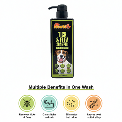 Nootie Tick & Flea Shampoo for Dogs (500 ml) | Natural Neem, Lemongrass & Clove Formula – Antibacterial & Sulphate-Free