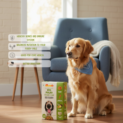 Nootie Veg Pulao Dog Food - 100g - 100% Veg, Human-Grade & Gluten-Free (Pack of 3)