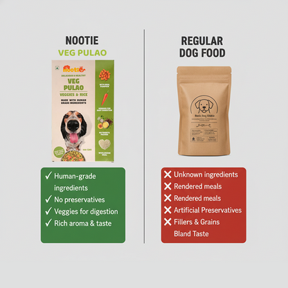 Nootie Veg Pulao Dog Food - 100g - 100% Veg, Human-Grade & Gluten-Free (Pack of 3)