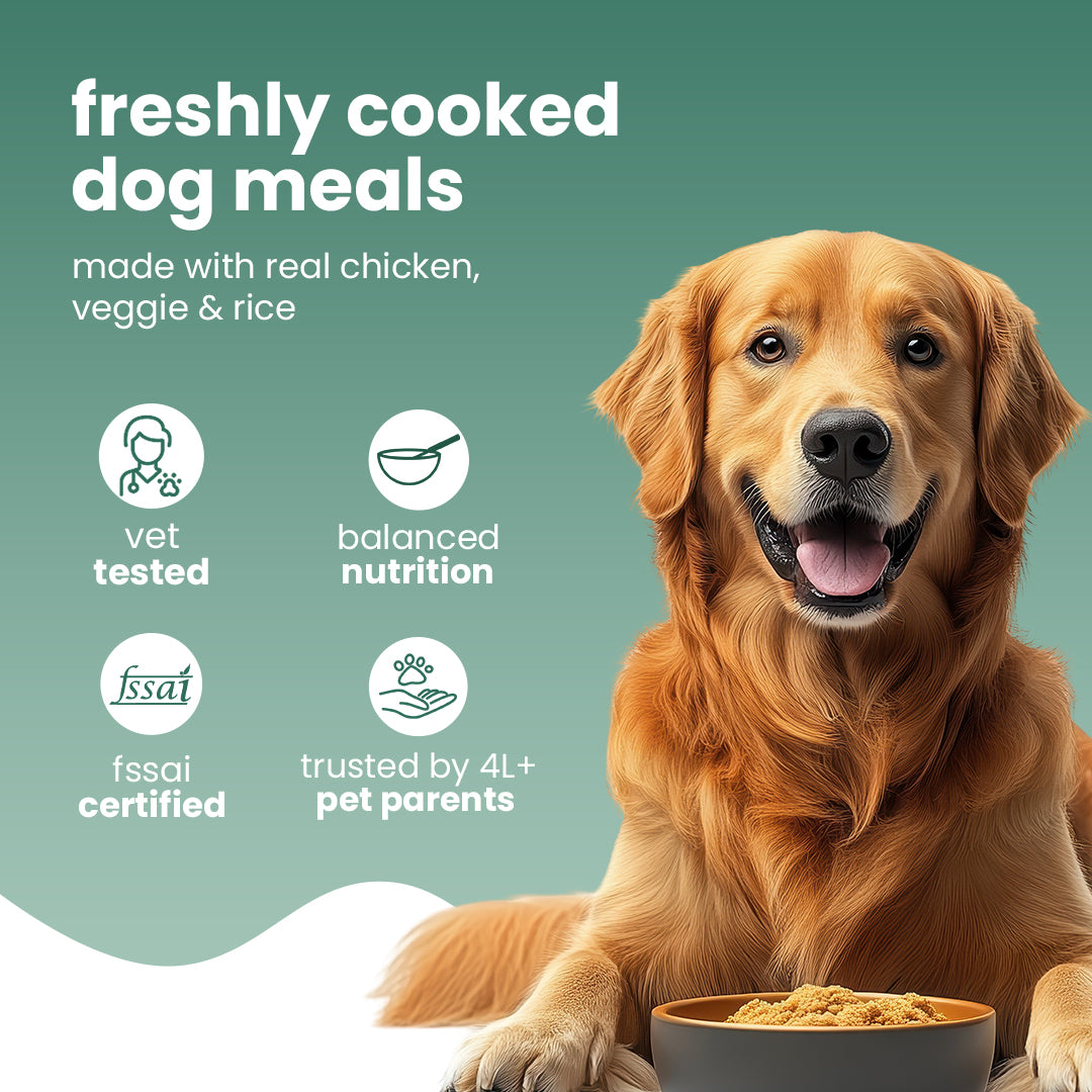 Nootie Balanced Dog Meal(300g)