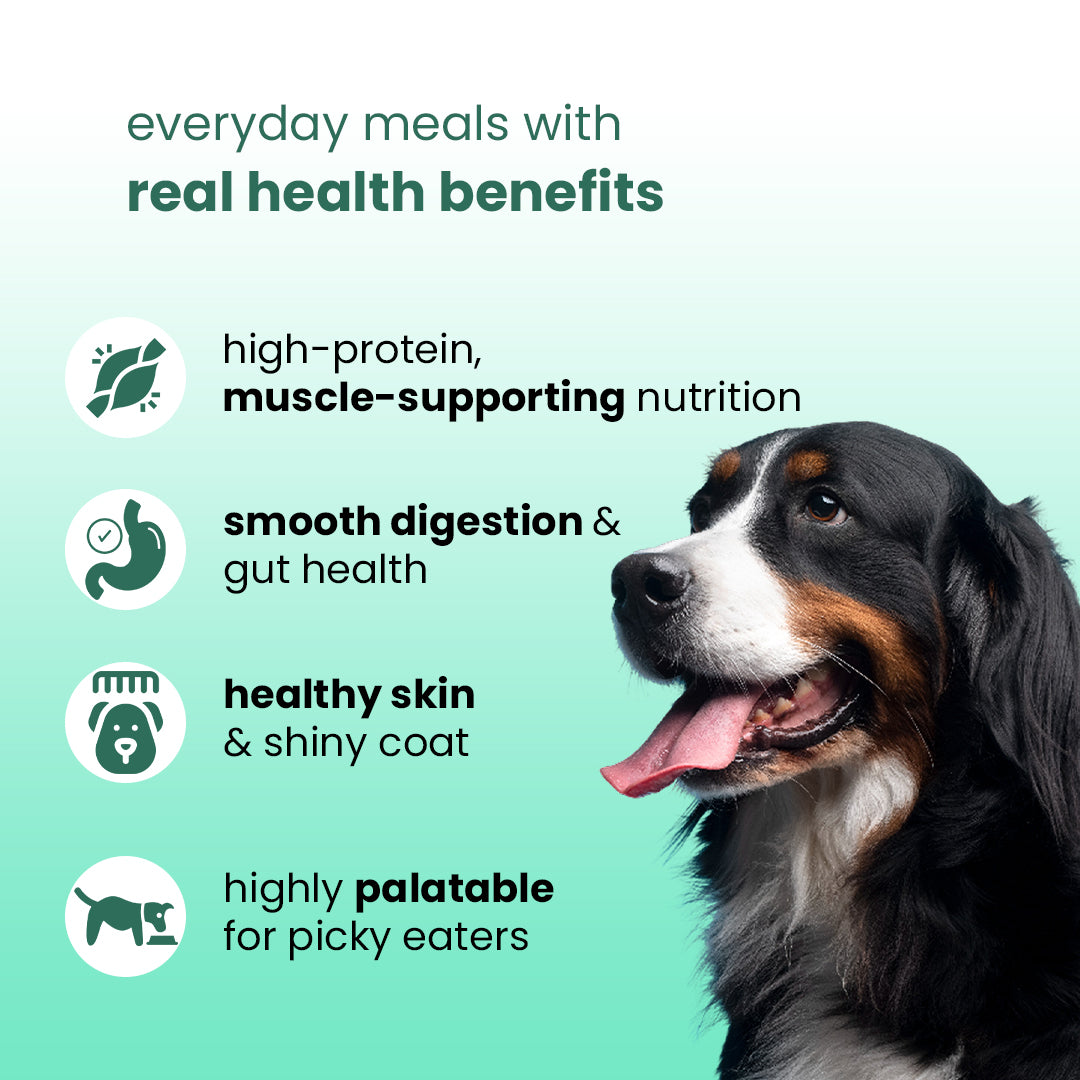 Nootie Balanced Dog Meal(300g)